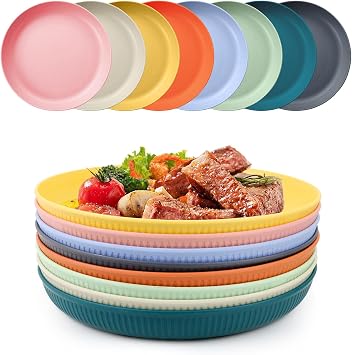 8 Pcs Unbreakable Plastic Plates Set 9 Inch Reusable Deep Dinner Plates