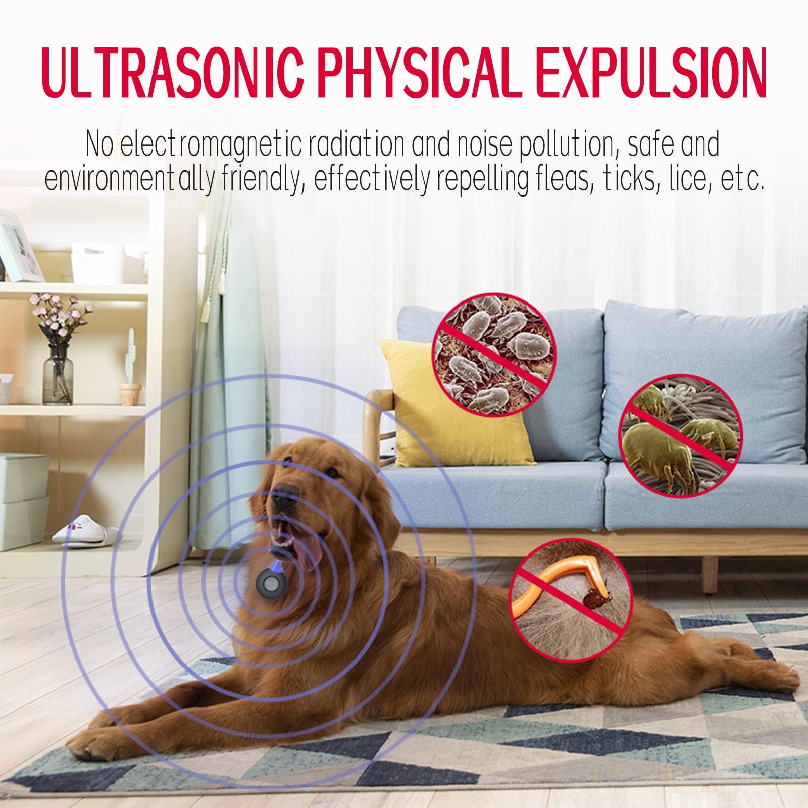 Repellente ad ultrasuoni per cani anti pulci e zecche ricaricabile USB portatile