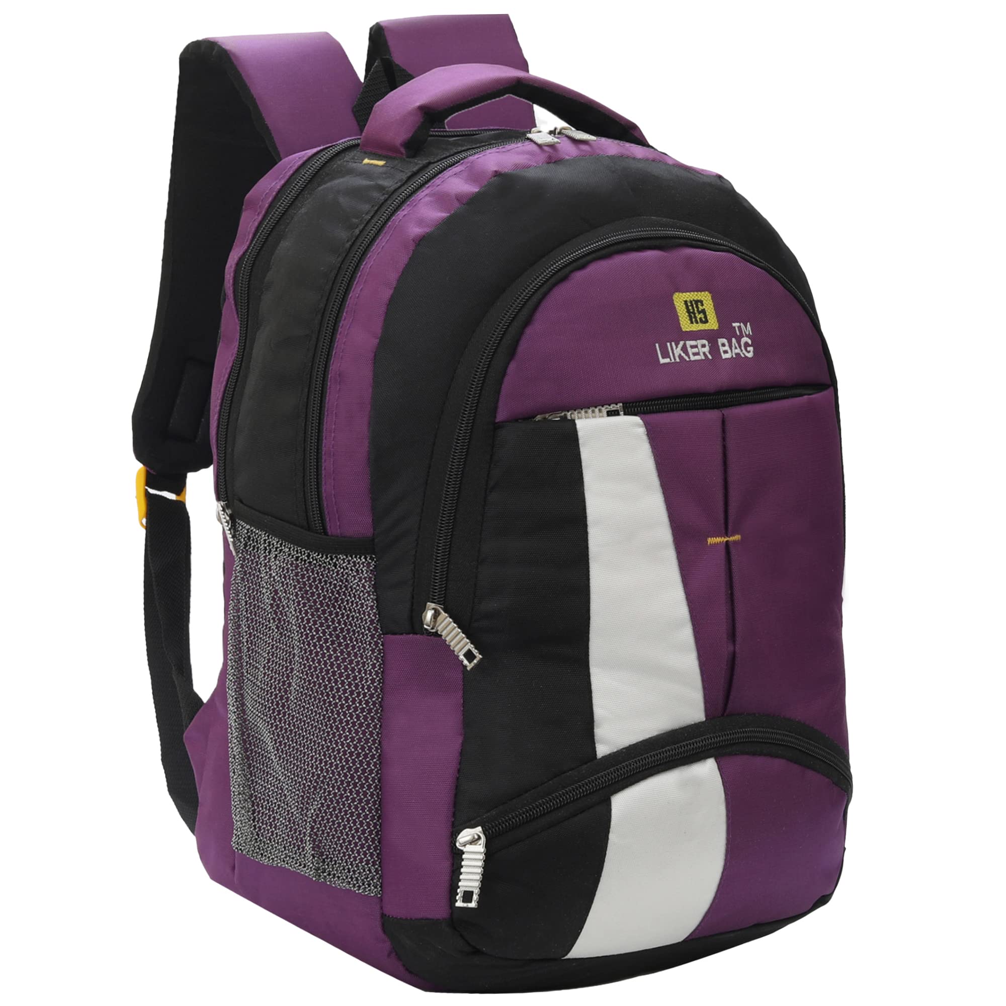 Liker Bag Large 45 L Laptop Backpack Spacy Unisex Backpack Reflective Strip (Purple) (B09YMV2RSY) Amazon Price History, Amazon Price Tracker