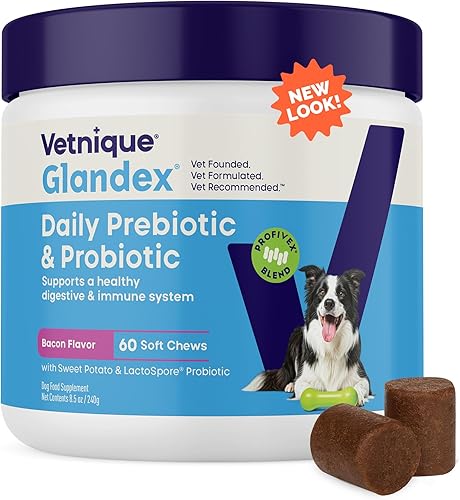 Vetnique Glandex Probióticos diarios para perros con prebióticos para apoyar la salud intestinal con fibra y enzimas digestivas, masticables