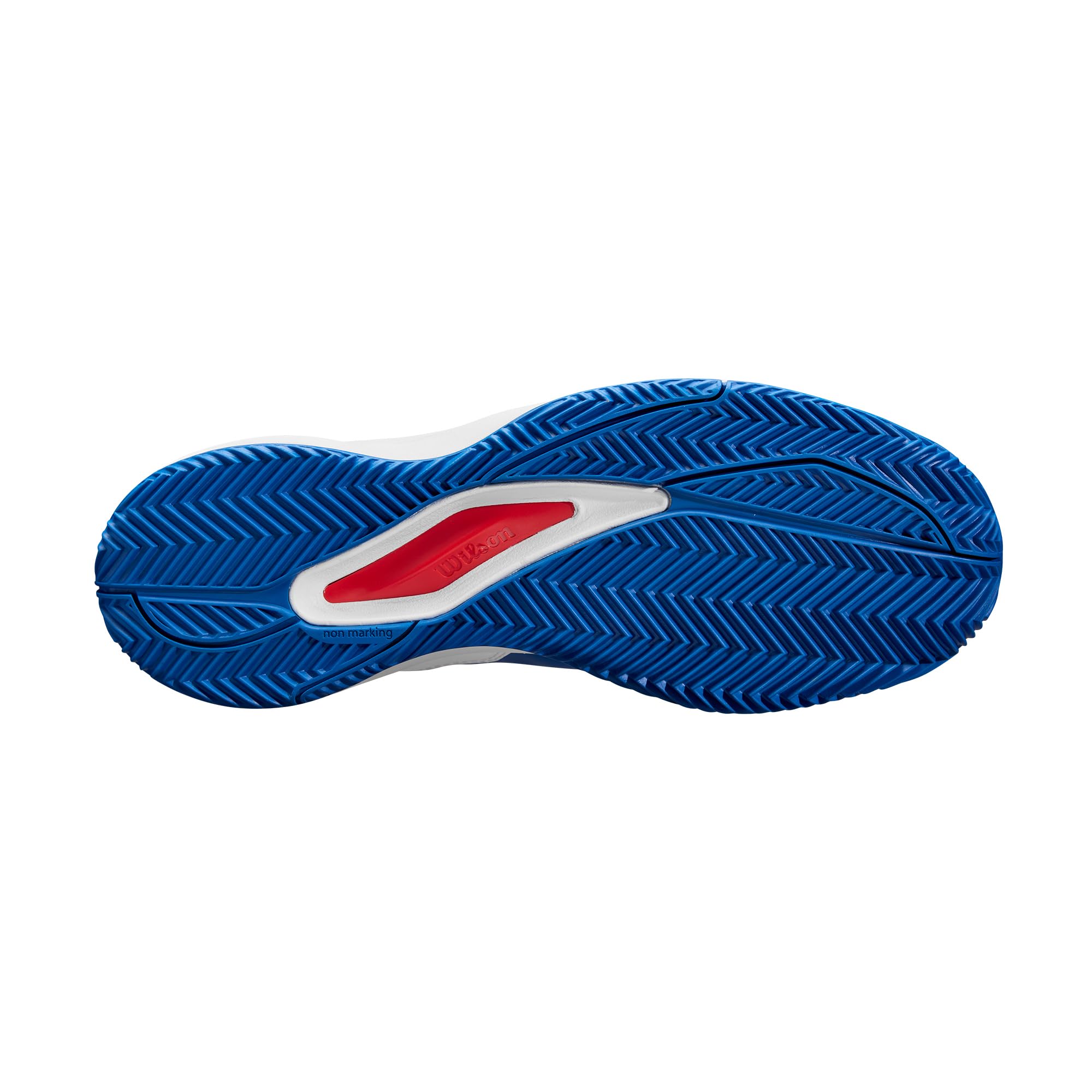Wilson Rush Pro Ace Clay Zapatillas de tenisHombre