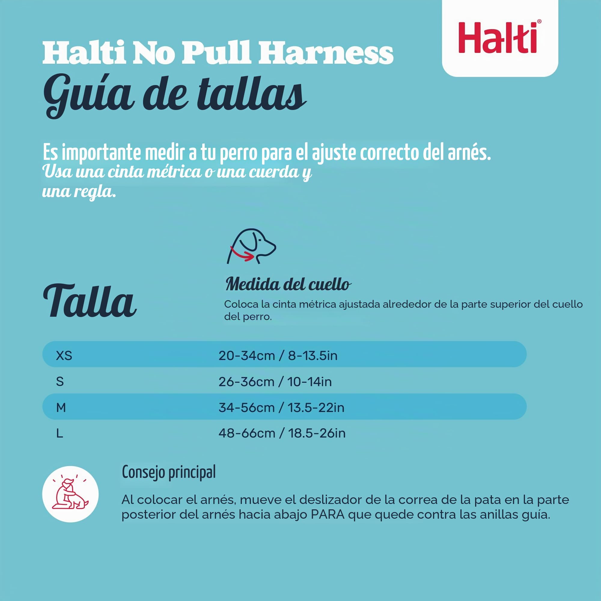 HALTI - Arnés antitirones tamaño mediano y correa de entrenamiento HALTI tamaño grande, paquete combinado negro - Evita que tu perro tire de la correa. Ajustable, ligero y fácil de usar. Adecuado para