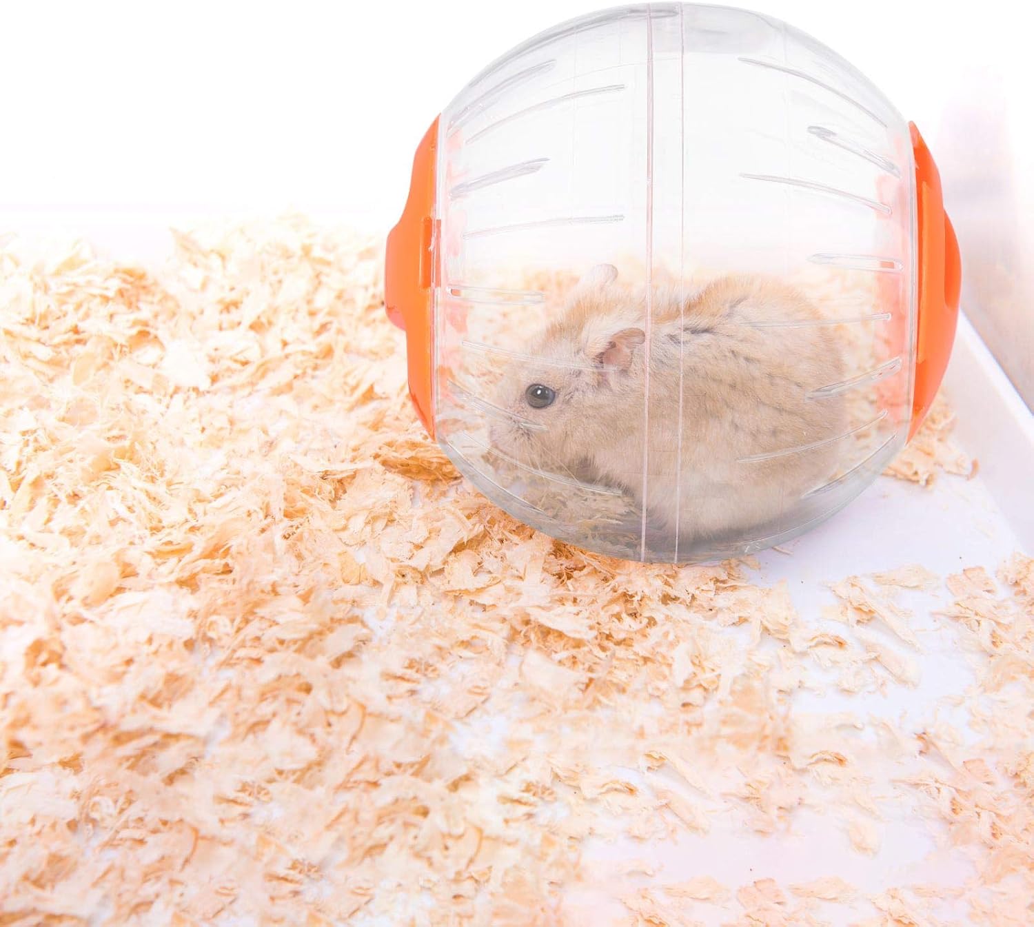 Hamster Exercise Ball, Silent Hamster Mini Running Activity Exercise Ball 4.72 inch Toy Transparent Hamster Ball Dog Special Toy Ball Small Animals Cage Accessories (Orange)