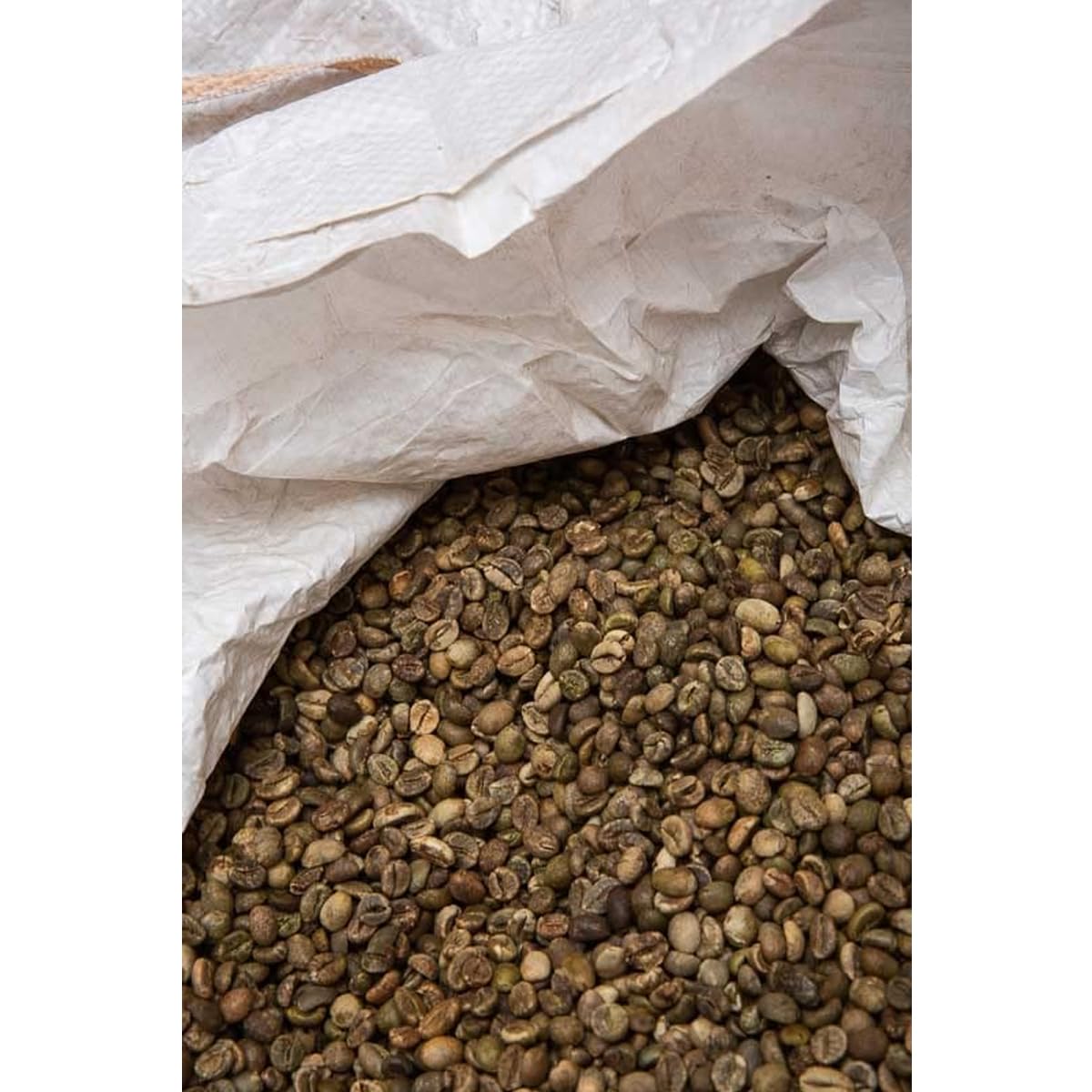 KoffeeONHOME Café en Grano 100% Arábica, Blend Amazonia, Tueste Natural, 2 Paquetes de 1 Kg - 2 Kg