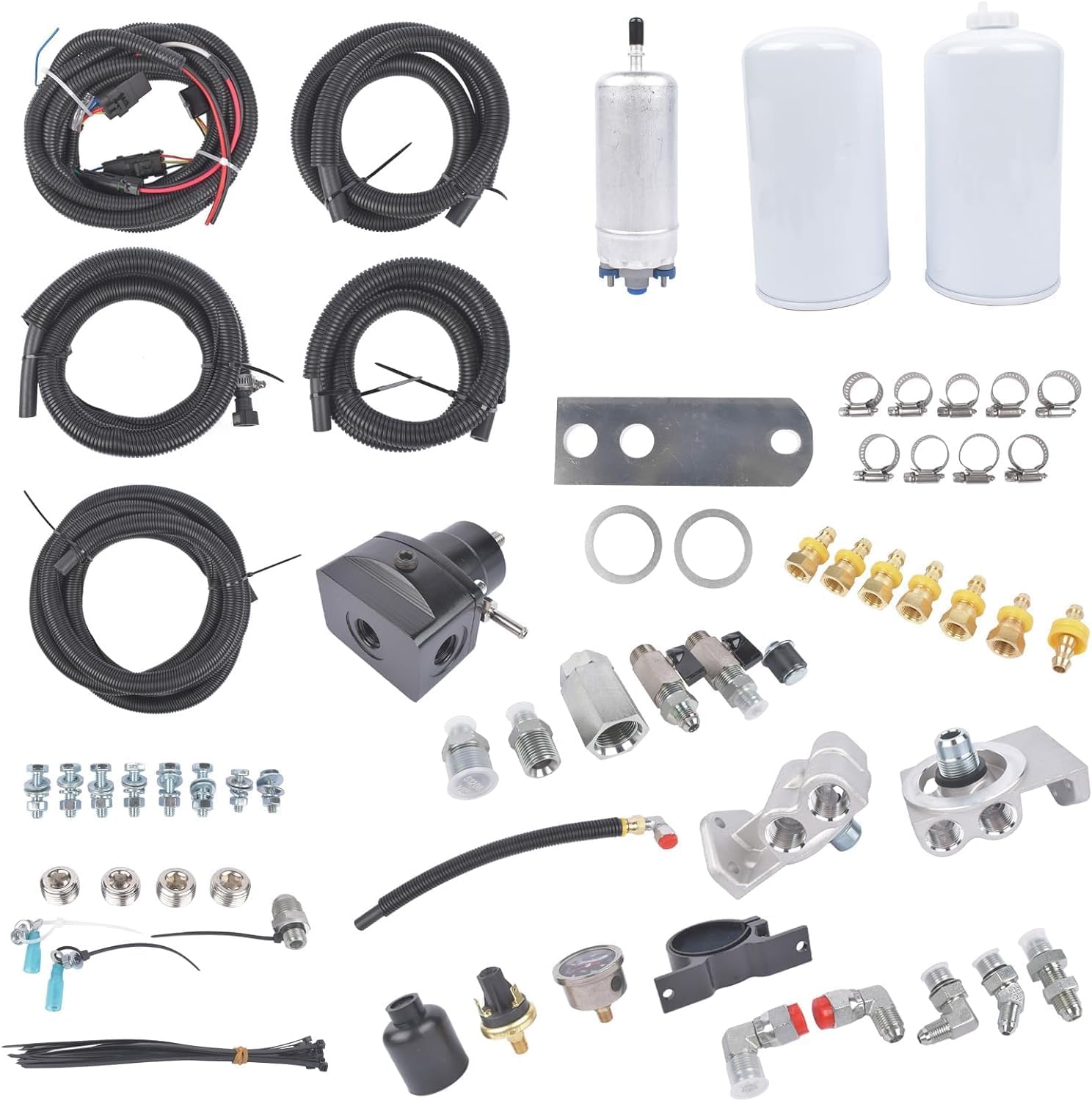 Electric Fuel Pump Conversion Kit Compatible with 19941997