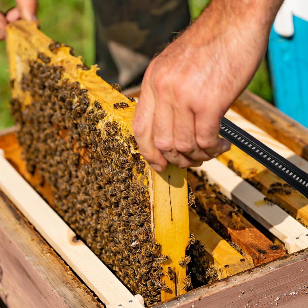 50 herramientas de plástico para apicultura de colmena, fácil de usar para suministros de apicultura, color negro