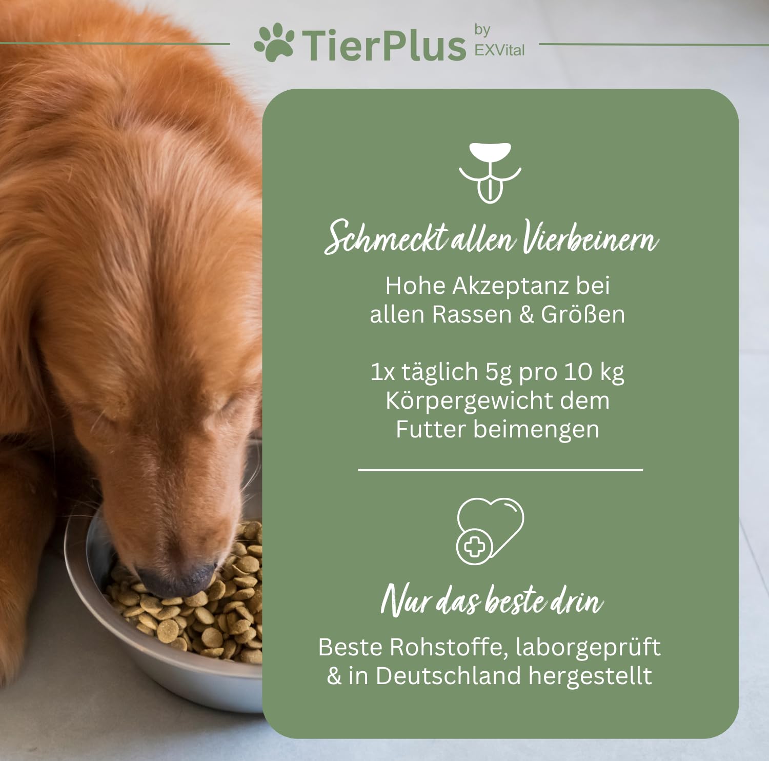 Long Life Vitalkomplex für Hunde -Gesundheit & Vitalität für Senior Hunde, mit Omega 3 Fettsäuren, Curcuma, Mariendistel, Propolis u.v.m, 180g pro Dose, leckeres Futtertopping