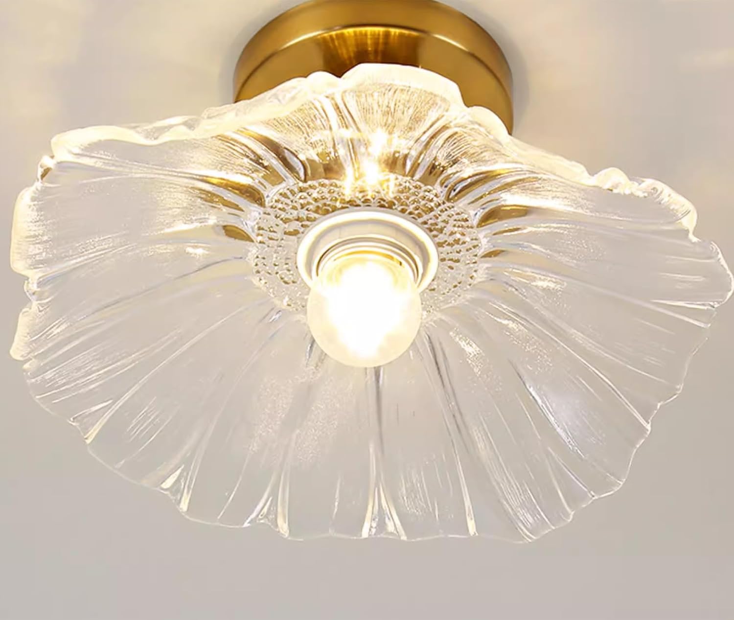 Pack of 2 Chandelier, Flush Mount Ceiling Light, Clear Glass Shade Light Fixture, 1 Light Lighting Fixture for Bedroom,Dining Room,Kitchen, Hallway (Clear 4111CL)