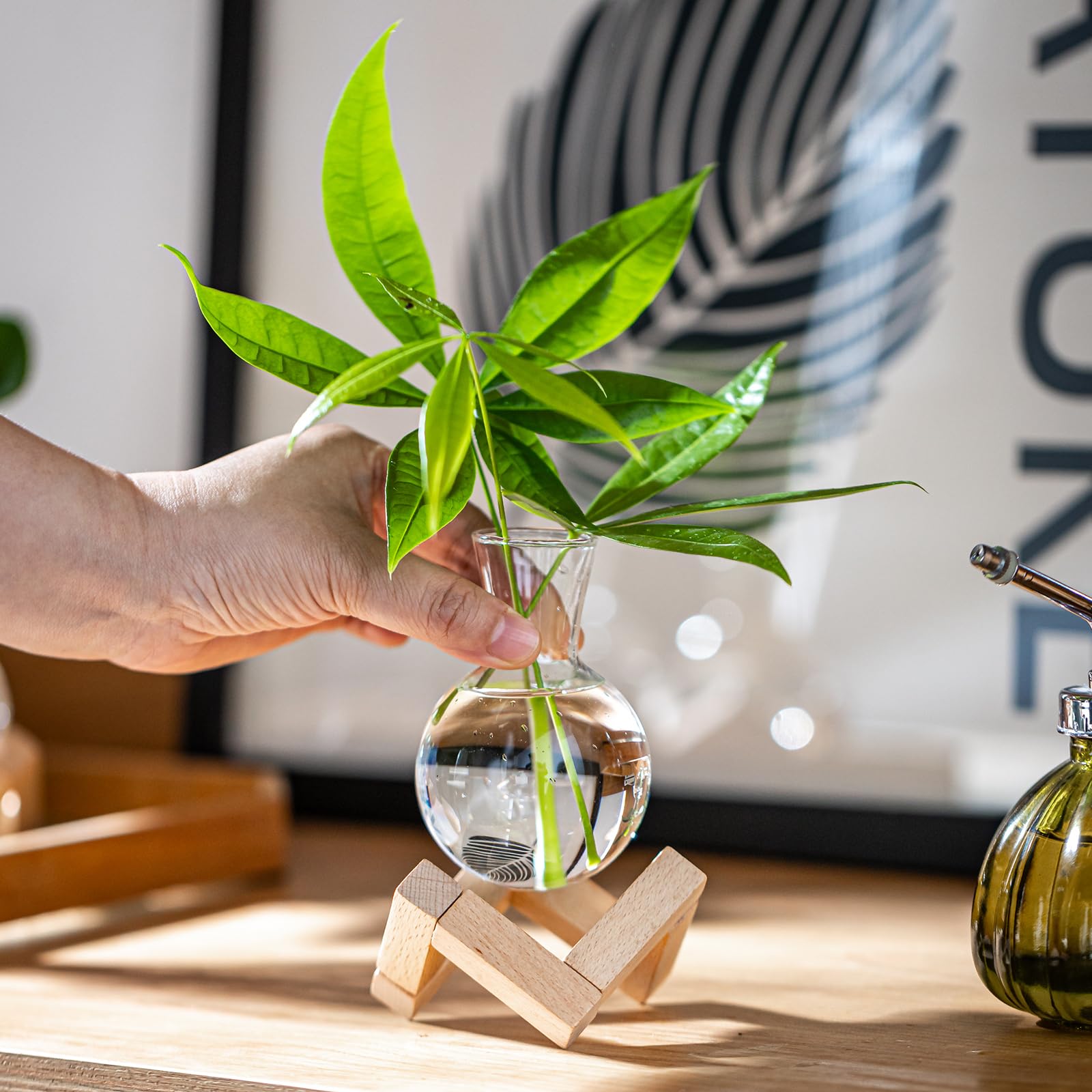 Pflanzenanzuchtstation, Pflanzenterrarium mit Holzständer, Luftpflanzenhalter, Blumenzwiebelvasen, Tischglas-Pflanzgefäß für Hydrokulturen, Heimbüro-Dekoration, Geschenk für Frauen