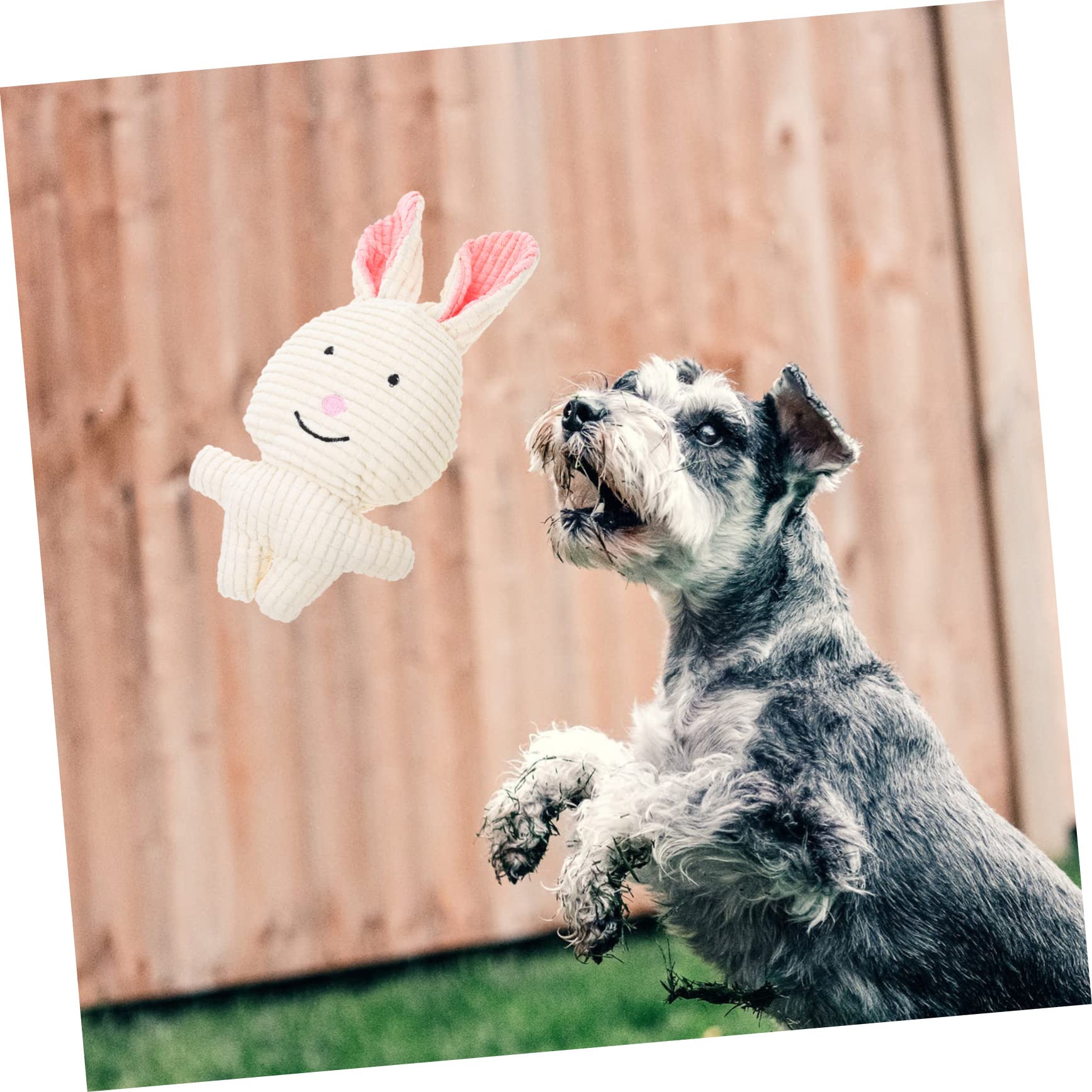 Toddmomy 5piezas Juguete De Peluche para Perros Squeaker Juguete Interactivo para Mascotas para Masticar Duradero para Cachorros y Perros Pequeños