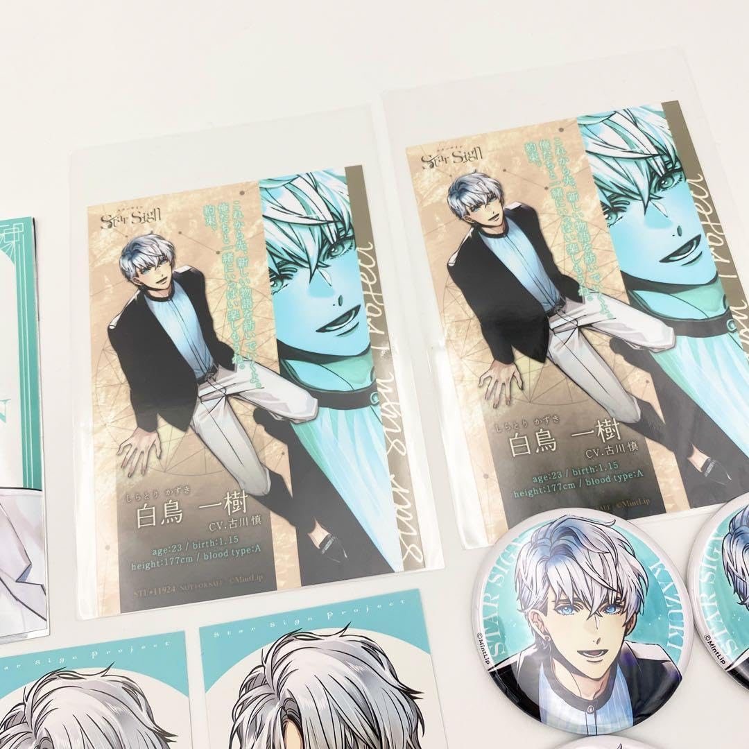 匿名配送スタサイ 直筆サイン チェキ 双見波瑠 10枚セット Star Sign
