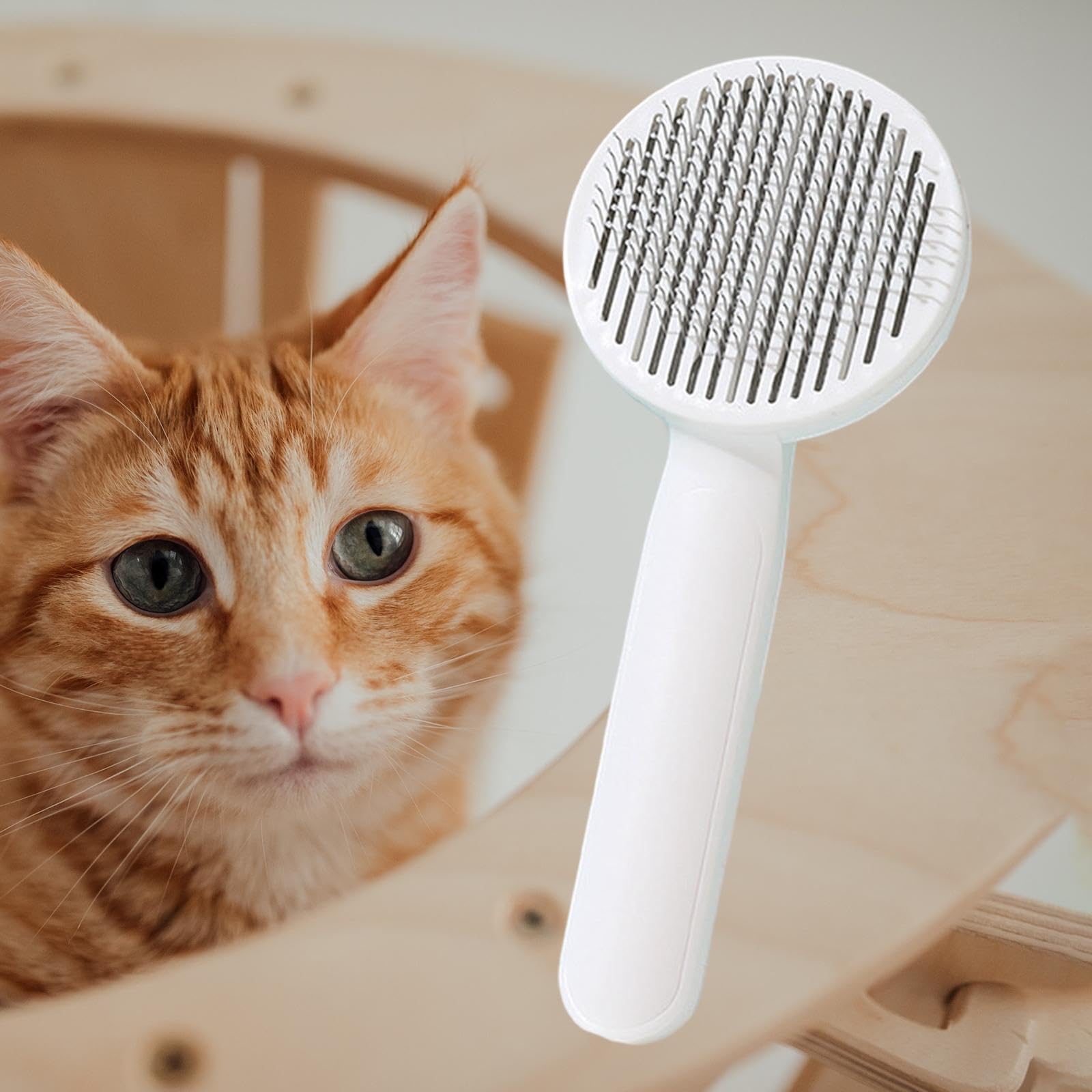 4X Katzenbürste, Hundepflegebürste für Welpen, Kätzchen, Pflegezubehör, Entfernt Verfilztes Haar Und Entfilzt Haustierkamm