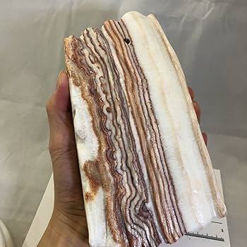 Amazon.co.jp: 商品NO:20672 豚肉石 猪肉石 ポークストーン カル