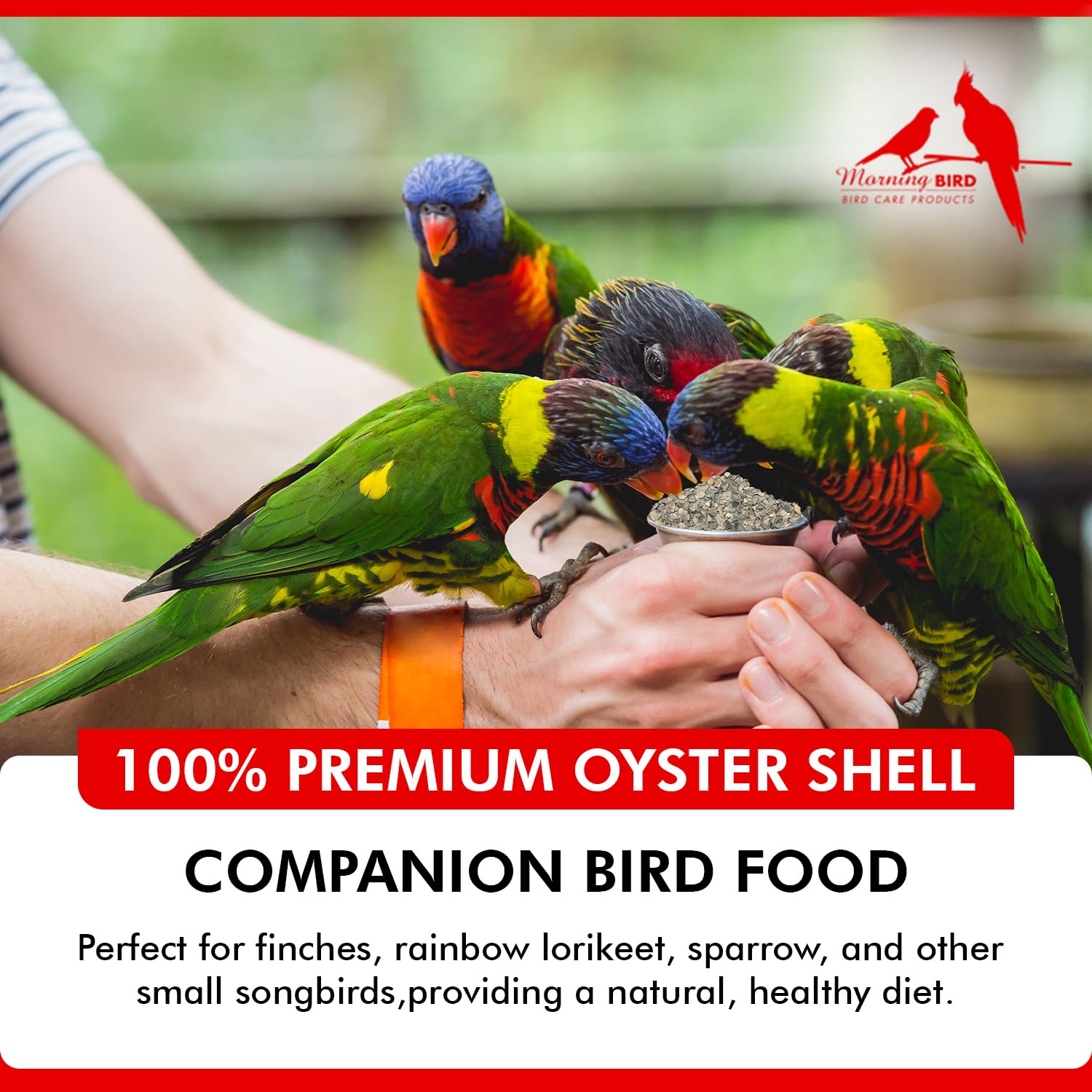 Morning Bird Oyster Shell for Birds 4.5 lbs (3-Pack, 1.5 lbs Each) - Natural Calcium Supplement – Sustainably Harvested from California Coast - Safe Year-Round Bird Food Additive - Additional View