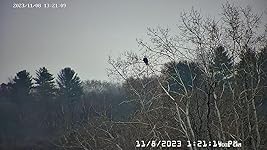 Review Image by TJG TJG