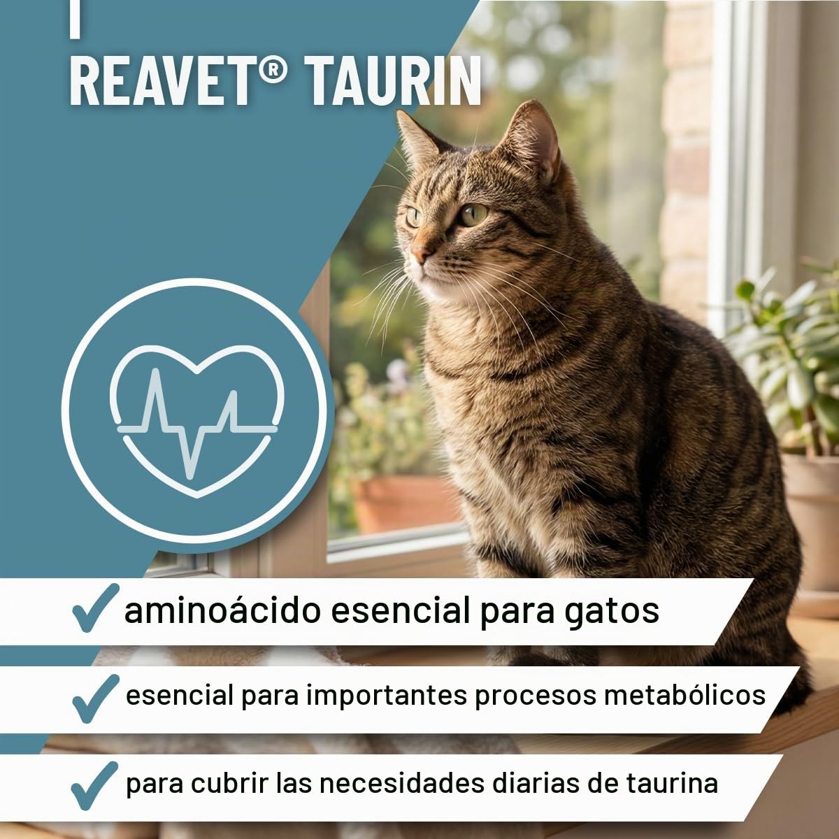 ReaVET Taurina para gatos 100 g – Apoyo cardiovascular, polvo de taurina 100% puro, aminoácidos que apoyan las defensas y el metabolismo celular