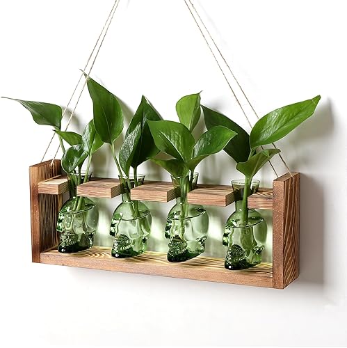 CYZglass Plant Propagation Stations Halloween Skull Plant Terrarium Kit Glass Va