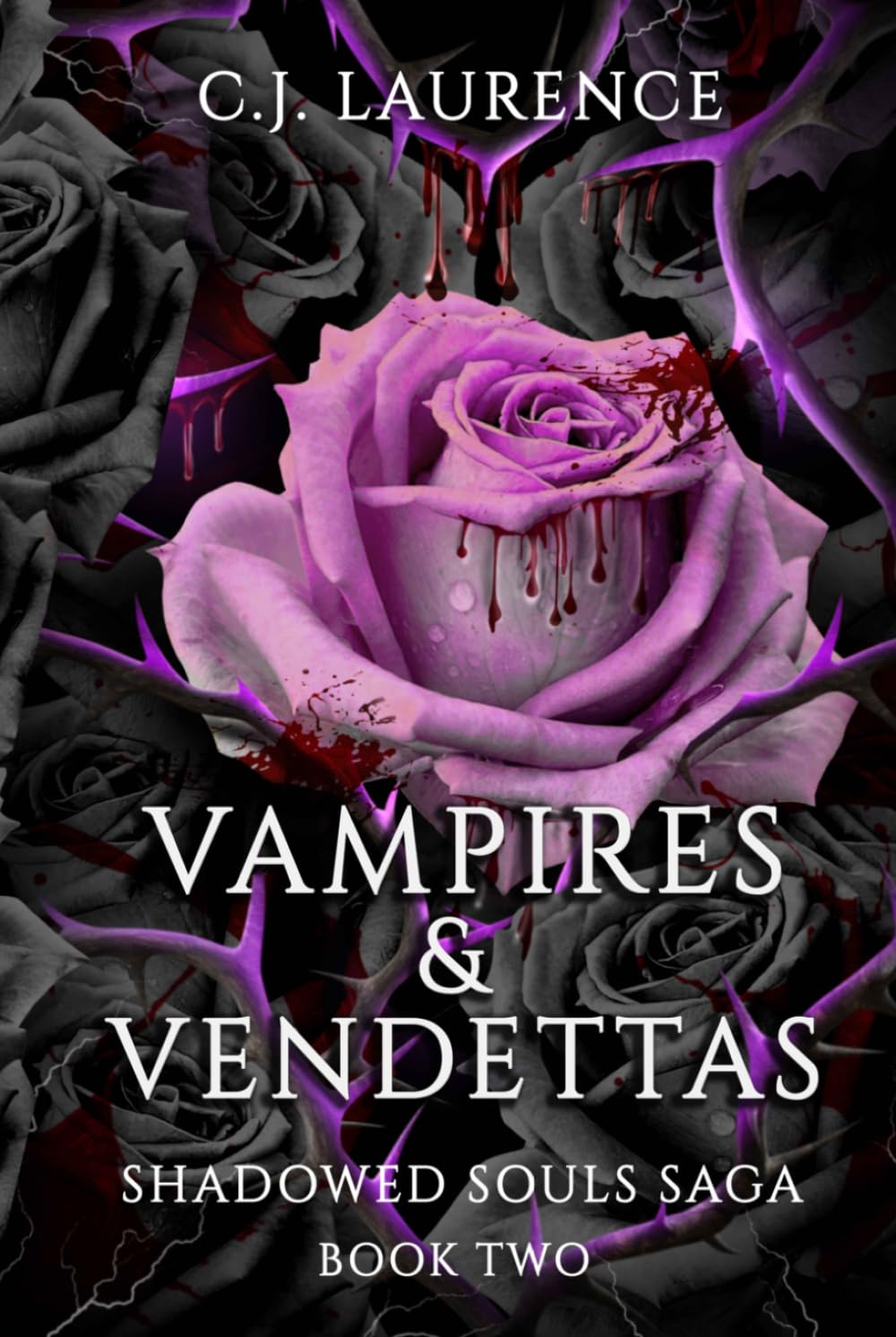 Vampires & Vendettas: A Dark Paranormal Romance of Demons, Vampires, Seduction, and Revenge (Shadowed Souls Saga)