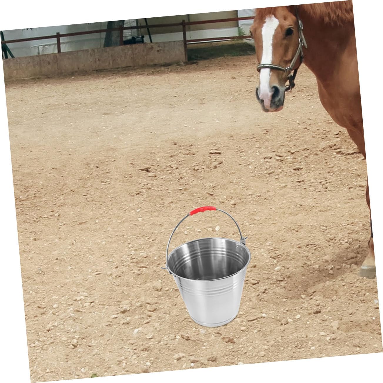 Stainless Steel Horse Feeding Bucket Durable Multi Purpose Water and Feed Container with Strong Handle for Foal Feeding Bathing Use Versatile Bucket