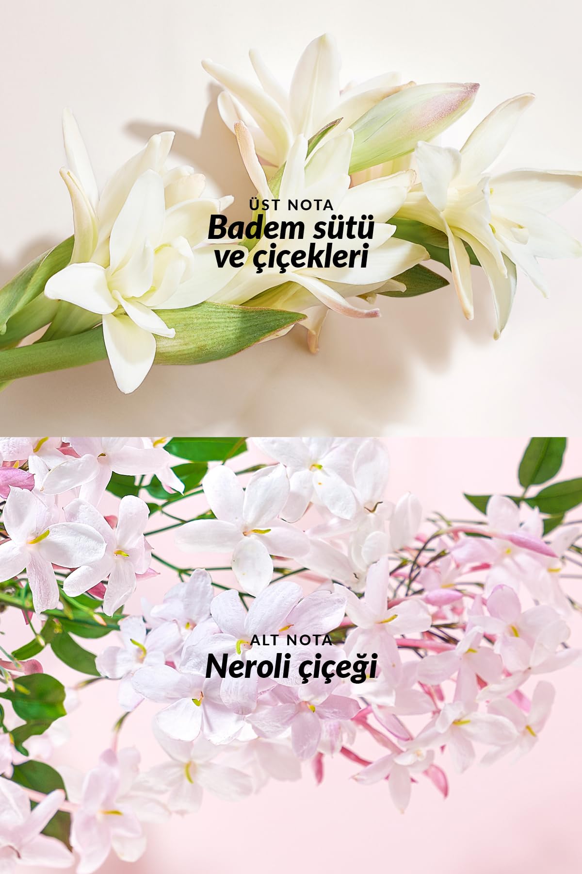 AVON TTA Everlasting Kadın Parfüm ve Vücut Losyonu Paketi