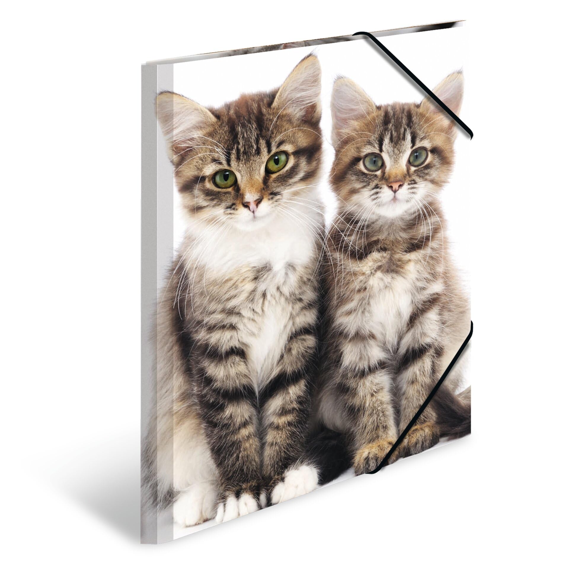 HERMA 7143 Portfolio Folders A3 Animals Cats, Pack of 3, Children's Plastic Corner Folder with Inner Print and Elastic Band