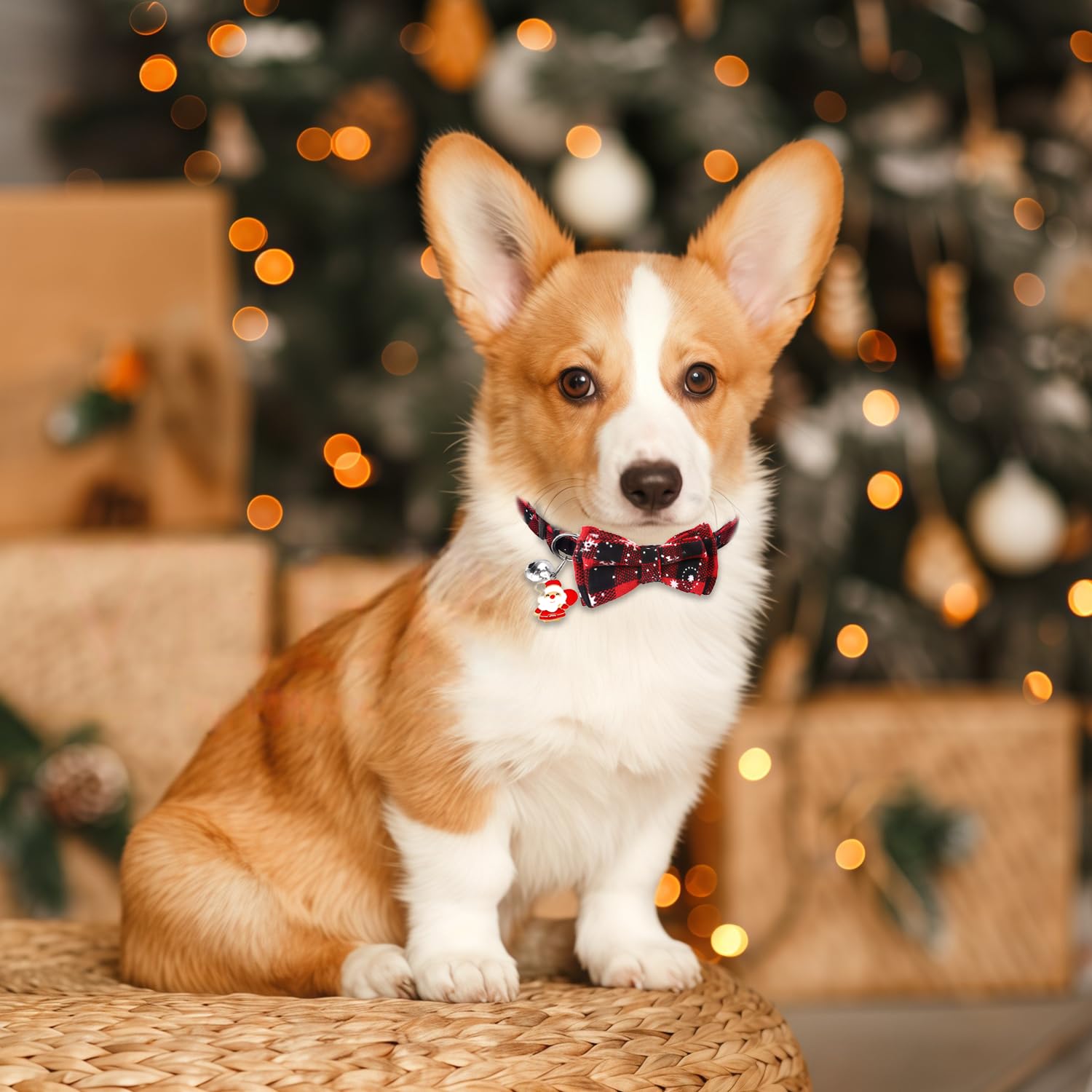 3er-Set Weihnachts-Halsbänder Für Katzen & Kleine Hunde | Mit Fliege, Glöckchen & Rentier-Motiv | Verstellbar & Süßes Festtags-Accessoire