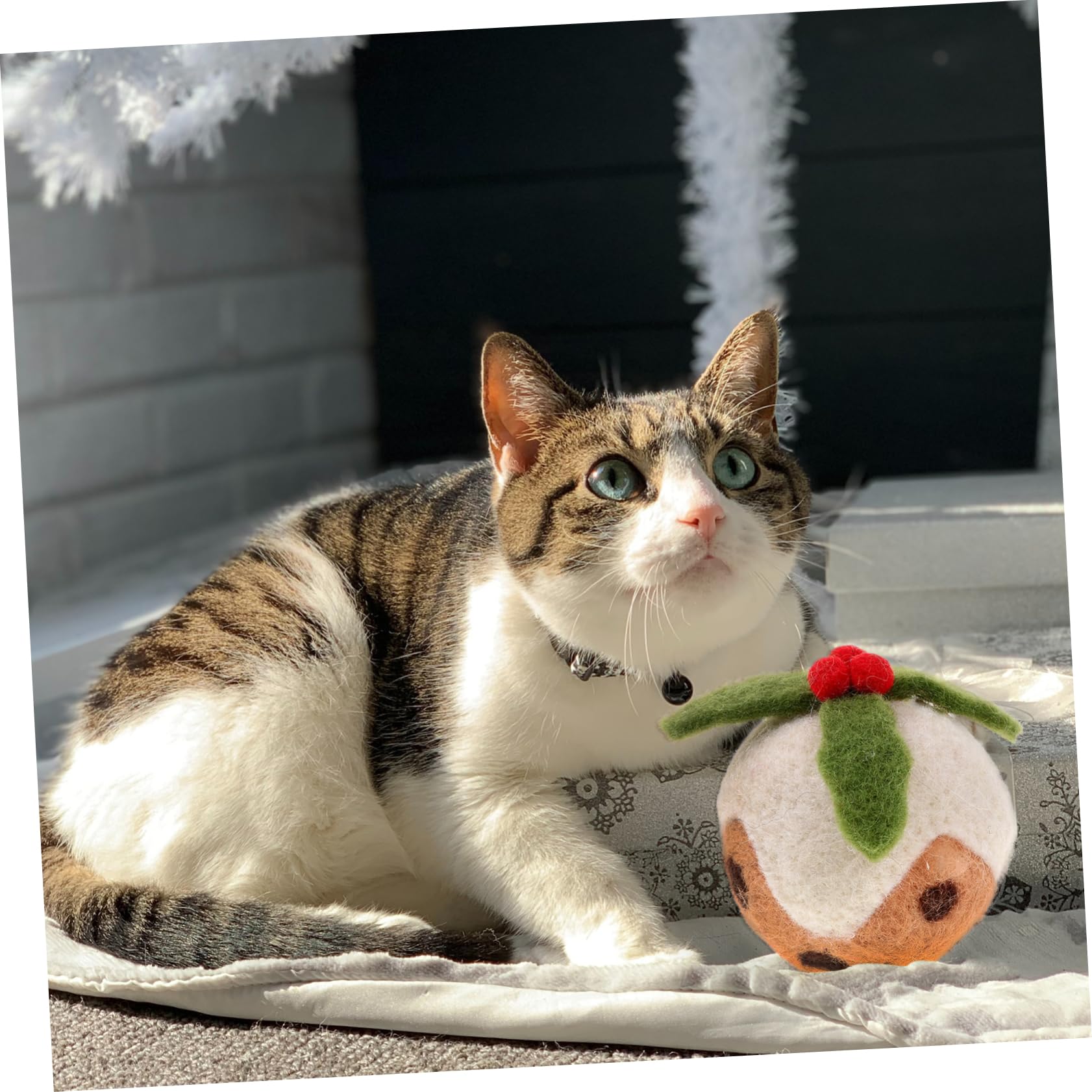 INOOMP 9stücke Katzen Spielzeug Weihnachten Lustige Kratzbälle Aus Wolle Interaktive Spielzeuge Für Katzen Und Kätzchen Haustiere