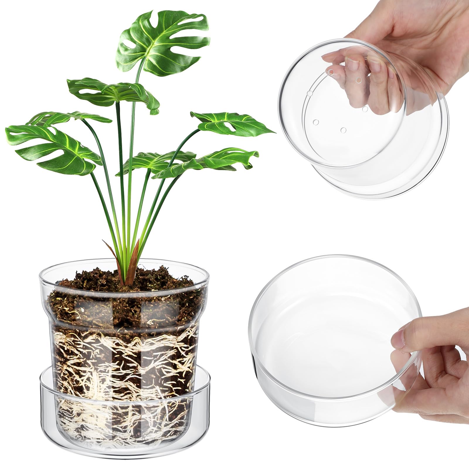 Baderke Anti Slip Clear Glass Plant Pots with Drainage Holes See The Roots Growth Vase for Plant Nursery Glass Planter for Indoor Plant Modern with Terrarium Saucer(1 Set,6 Inch)