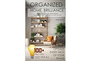 ORGANIZED HOME BRILLIANCE: 100+ Pro-Tips and Tricks To Transform Your Living Room