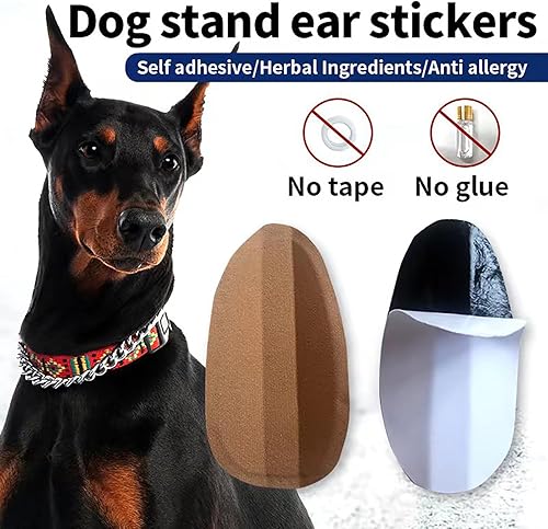 Miniatura 9 de THOUDONER Soporte para orejas de perro, herramienta de soporte vertical de corrección fija de oreja de perro para Doberman. (1.38 x 2.76 pulgadas)