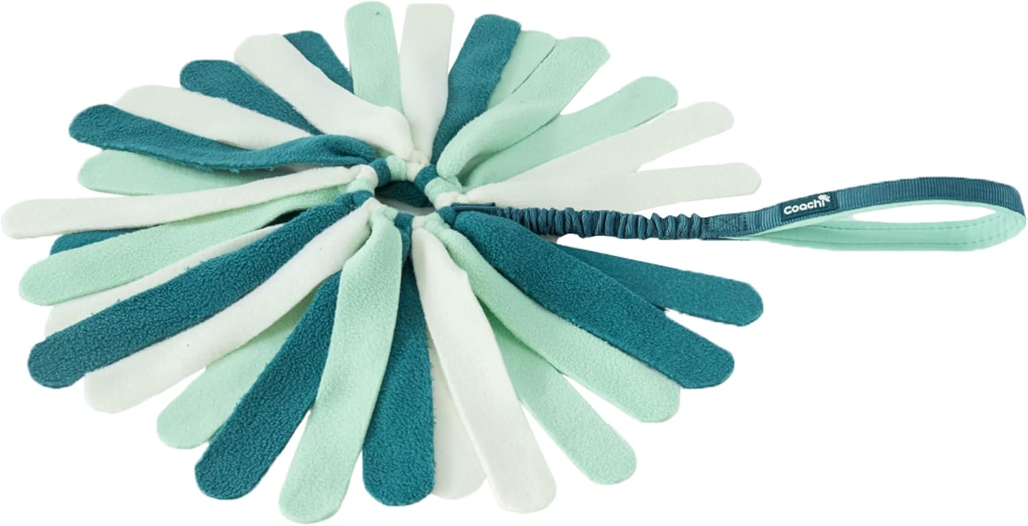 Coachi Puppy & Mini Tuggi Spider - Great for Tug & Play, Strong Dog Toy, Stretchy Bungee Handle, Reward Training, Recall, Agility, Interrupt Biting & Chewing. Suitable for Small Dogs & Puppies