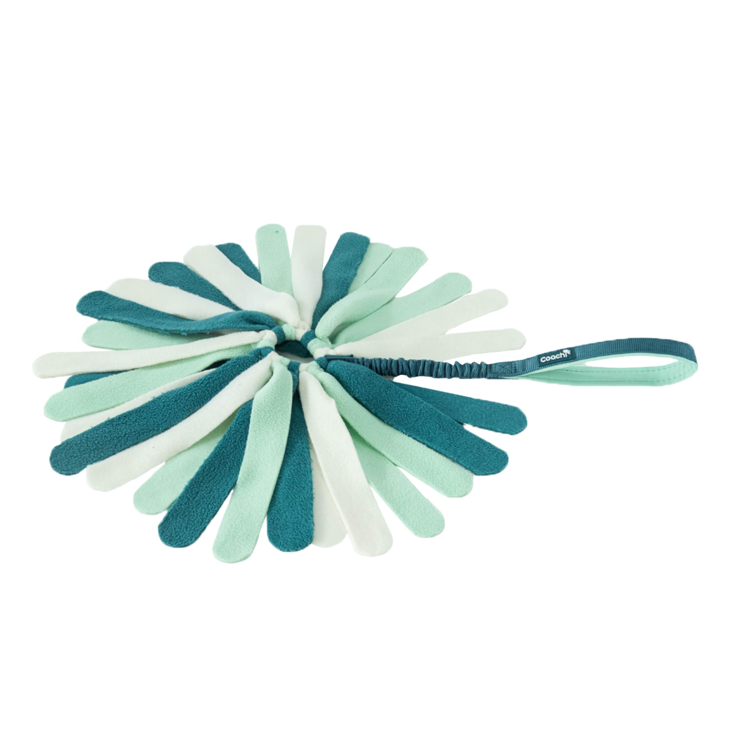 Coachi Puppy & Mini Tuggi Spider, Great for Tug & Play, Strong Dog Toy, Stretchy Bungee Handle, Reward Training, Recall