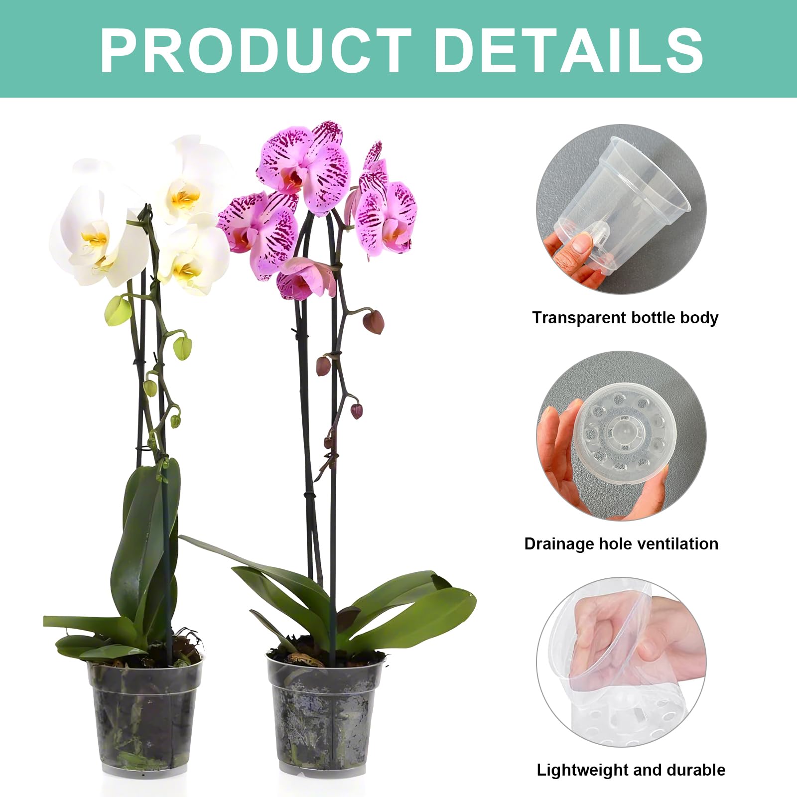 10 Vasi Trasparenti Per Orchidee Con Sottovaso - Diametro 11,5 Cm - Plastica Riciclabile Con Fori Di Drenaggio