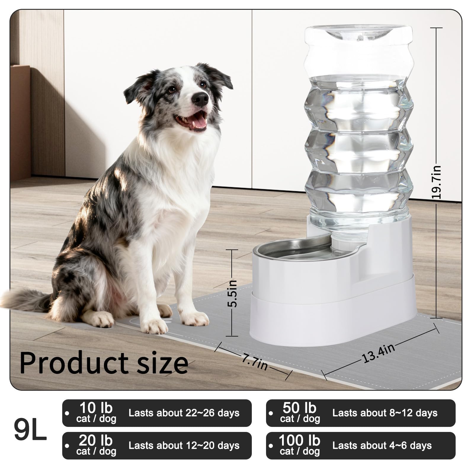 RIZZARI Dispensador elevado de agua para perros de acero inoxidable de 9 litros, bebedero automático por gravedad con diseño de hidratación filtrada, altura cómoda para beber para perros grandes y