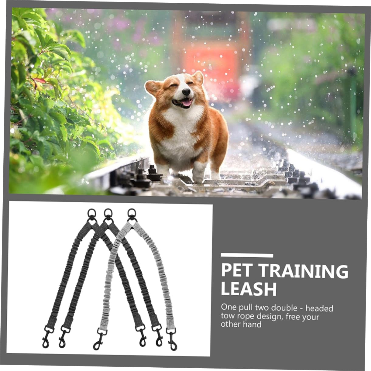 Gatuida Correa Doble para Perros Reflectante de Poliéster Diseño Ergonómico, Resistente y Cómoda para Paseos al Aire Libre, Paquete de 3 Unidades