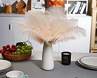 Vista 100 de 24 piezas de plumas de avestruz blanco natural de 10-12 pulgadas (25-30cm) para centros de mesa de bodas y fiestas, arreglos florales y decoración