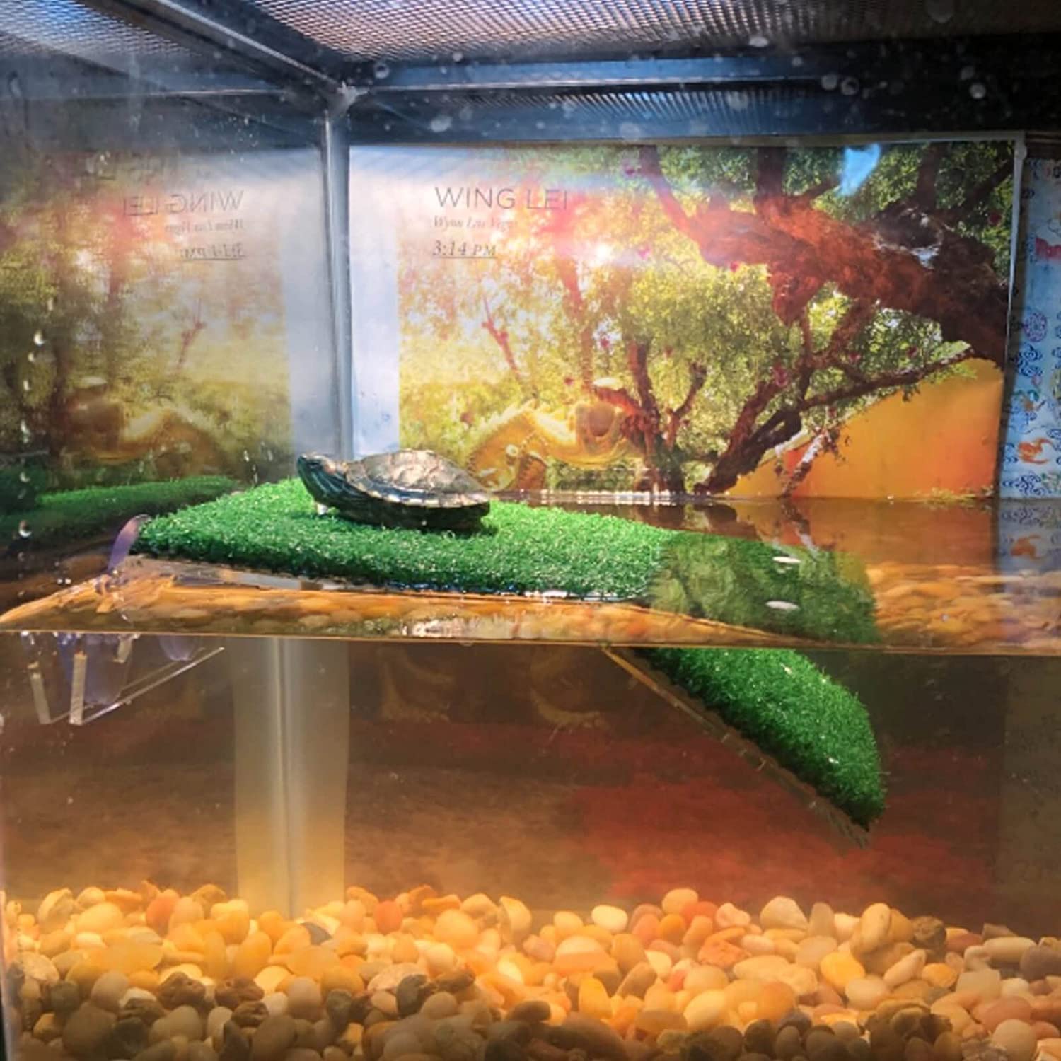 Plataforma para Tomar el para Tortugas CéSped Plataforma para Tomar el para Descansar para Tortugas, Rampa Tortuga de Hierba de SimulacióN para Tanque de Tortugas, Reptil M