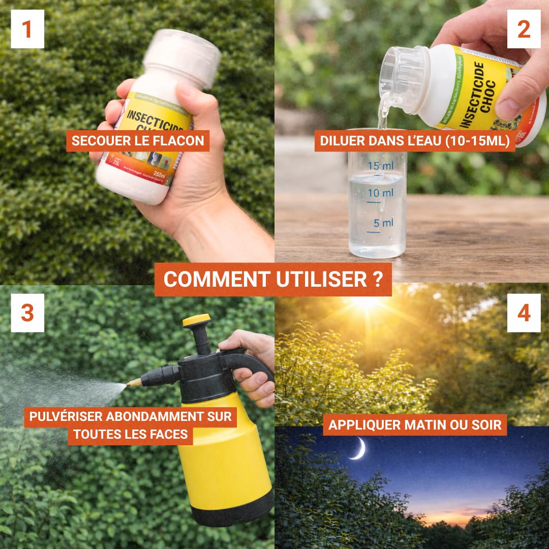 Protecta Insecticide Choc Jardin Concentré - Insecticide Pucerons, Cochenilles, Thrips, Acariens & Araignée Rouge - Plantes, Rosiers et Potager – Utilisable en Agriculture Biologique – 250 ML
