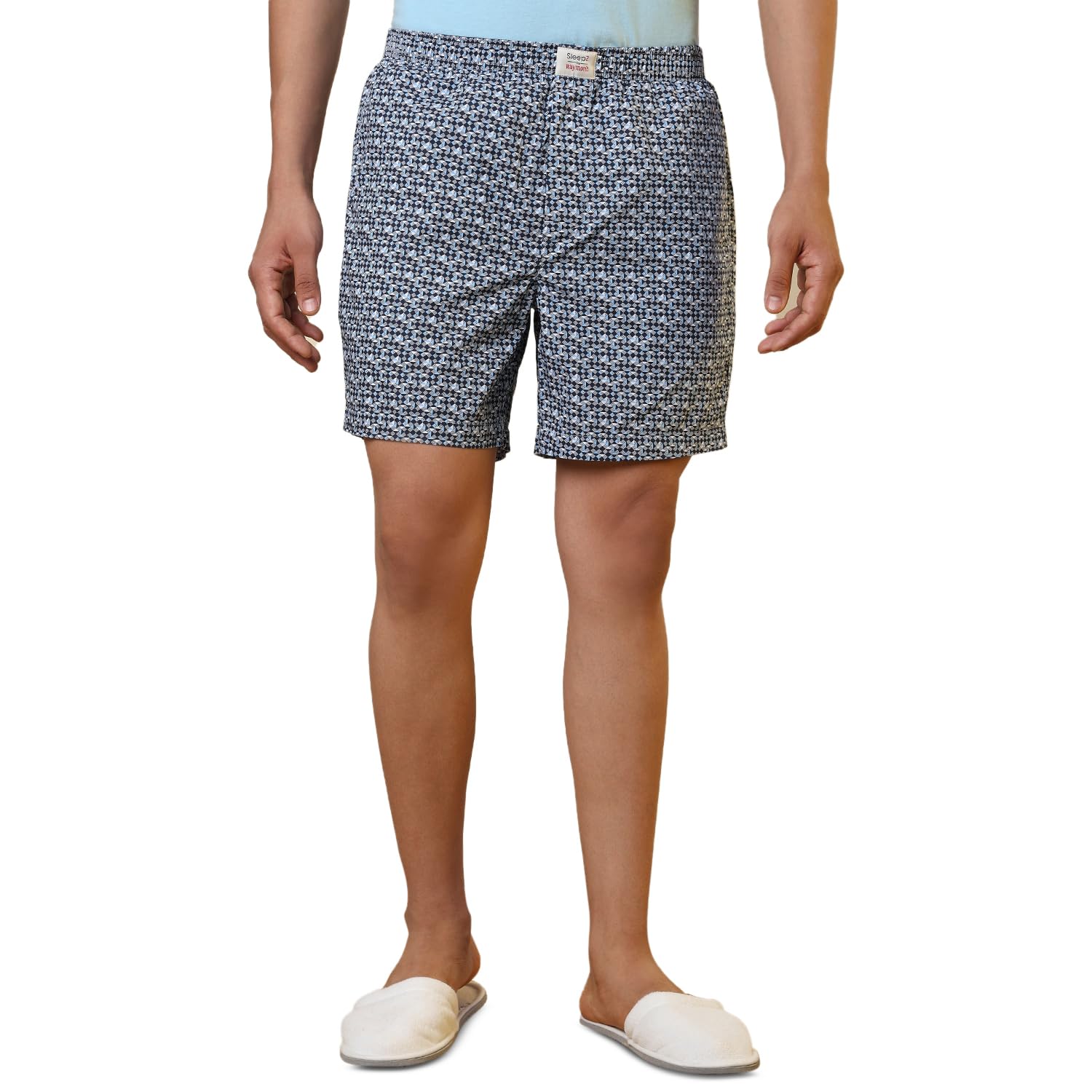 sleepz by raymond Men Flat Front Regular Fit Print Pattern Pure Cotton Boxer-picture-14