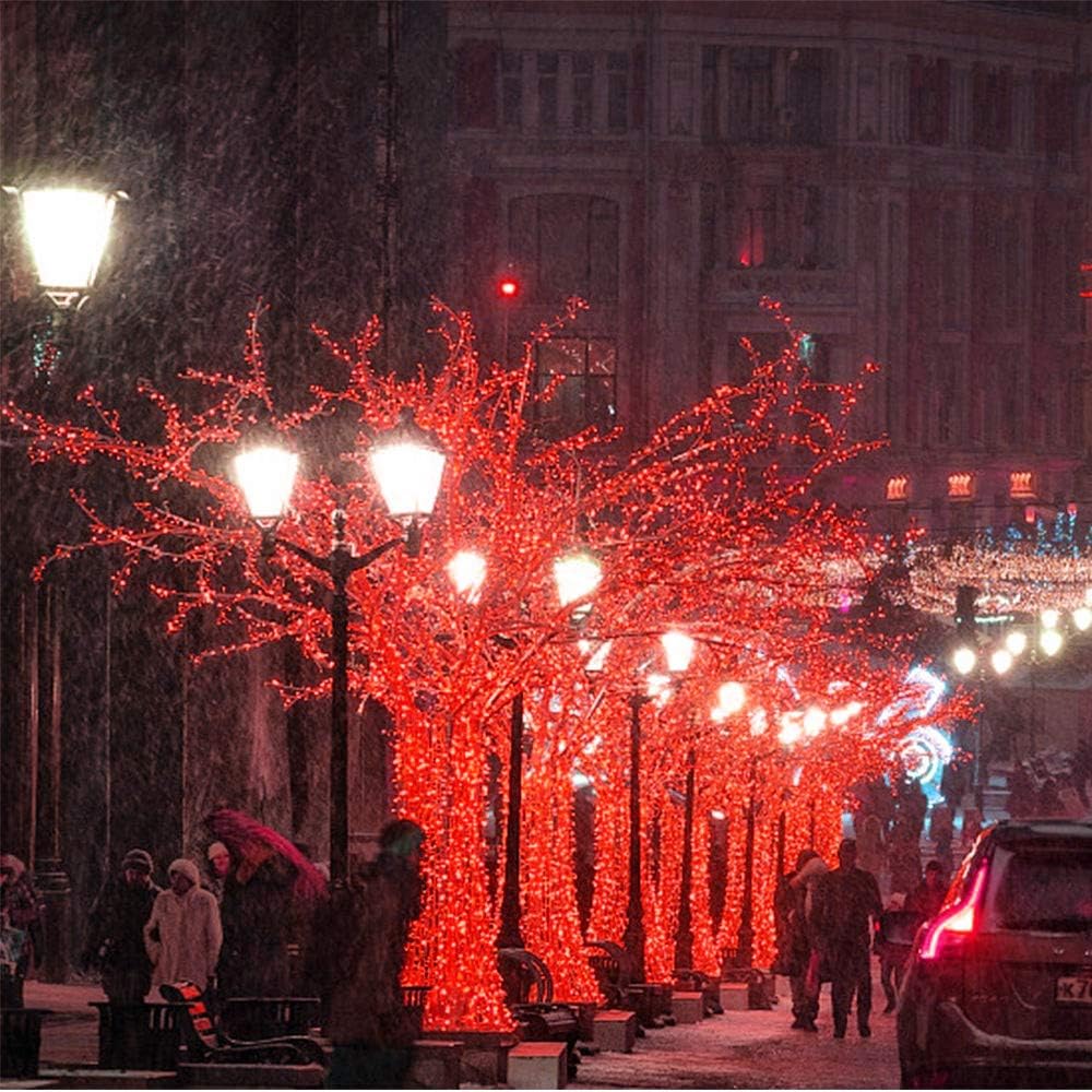 Catena Luminosa USB Impermeabile, Catena Luminosa a 30 M e 300 LED, Luci Impermeabili con Cavo in Rame per Esterni e Interni per Giardino, Matrimonio, Albero di Natale (rosso)