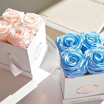 Venus et Fleur Le Petit Square - The Original Preserved