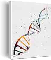 DNA Genetik Helix Rahmen Poster - Wissenschaftliche Wanddekoration 52x33cm | Leinwand Druck