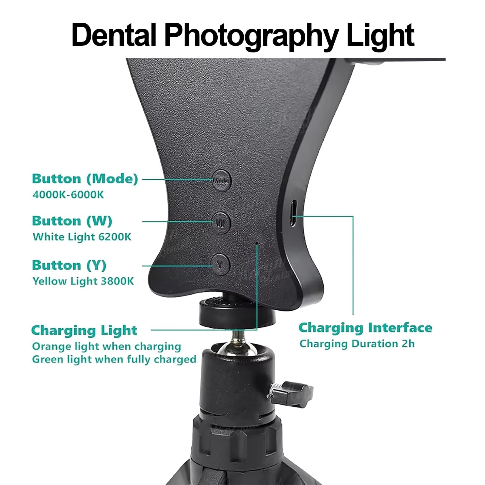 Luce per fotografia dentale con treppiede, luce di riempimento a LED regolabile a 360°, temperatura colore 3800K-6200K e controllo della luminosità per cliniche e ospedali