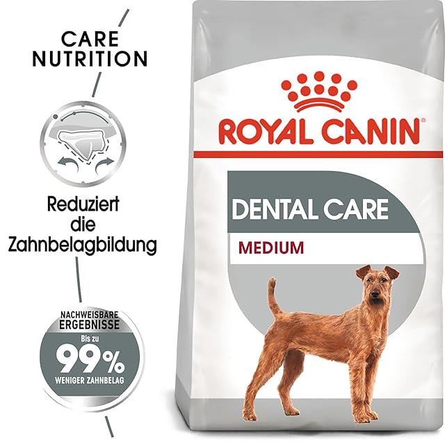 Foto 2 de 5 de Royal Canin CCN Medium Dental Care 10000 g