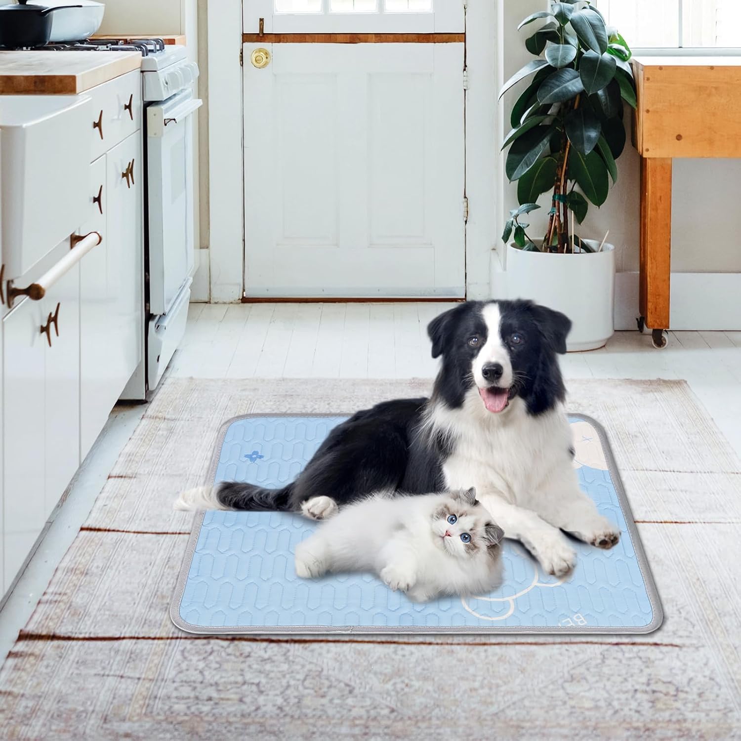 Kühlmatte für Hunde 90 x 70cm, Hundekühlmatte, Selbstkühlende Matte für Haustiere, Waschbare Kühlmatte für Haustiere (Blau)