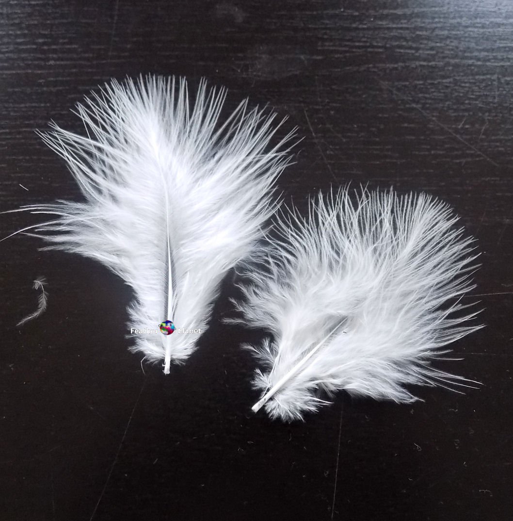 60 White Marabou Small Feathers Quality Craft Pack