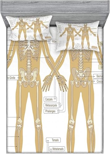 Miniatura 164 de Ambesonne Juego de sábanas bajeras y fundas de almohada, deliciosos tacos con verduras, cocina folclórica, ingredientes de recetas de comida Beige