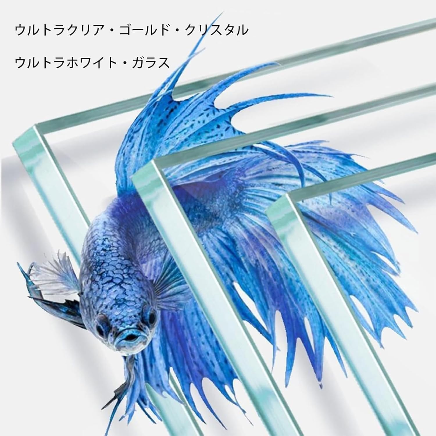 GrnArt 透明金魚鉢、メダカ水槽 10L ガラス容器 (30*18*20cm) ホワイト