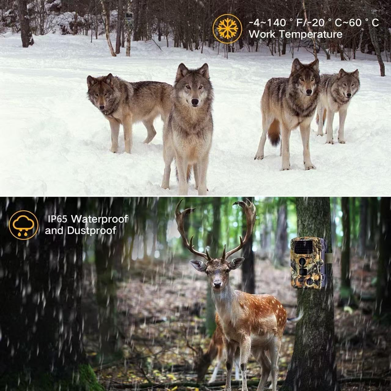 HC-808A Trail Camera 1080P/24MP with Night Vision, 120° Wide Angle, Motion Activated Waterproof, Hunting Camera for Wildlife Monitoring