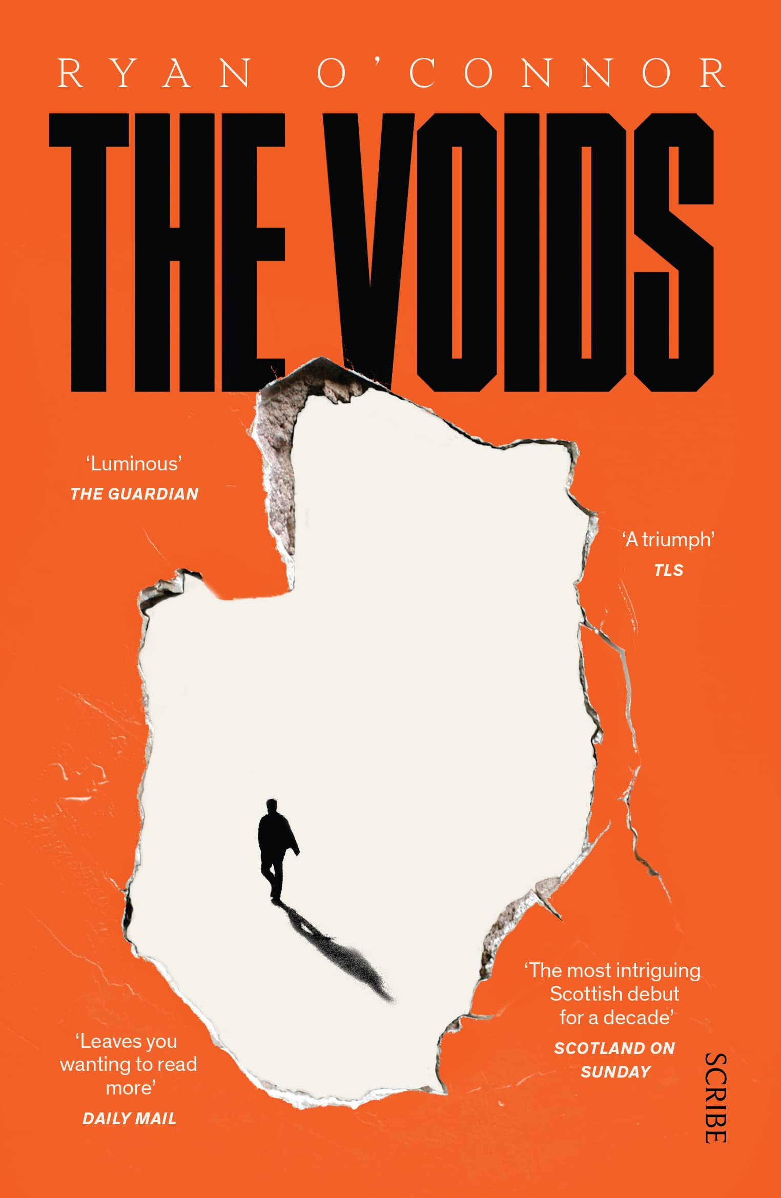 The Voids by Ryan O’Connor PAPERBACK 9781913348441